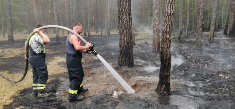 21.06.2021 Požár lesního porostu Libotenice